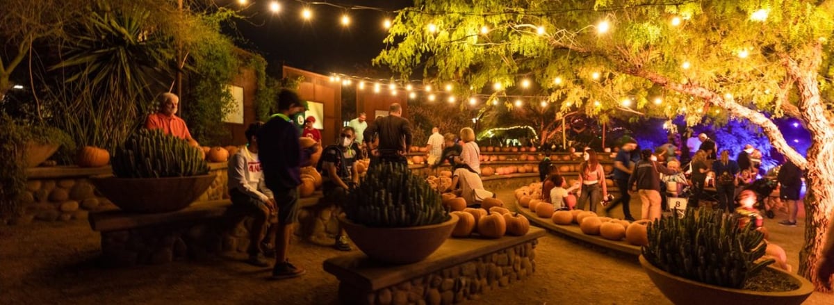 THINGS TO DO IN TEMPE IN THE FALL