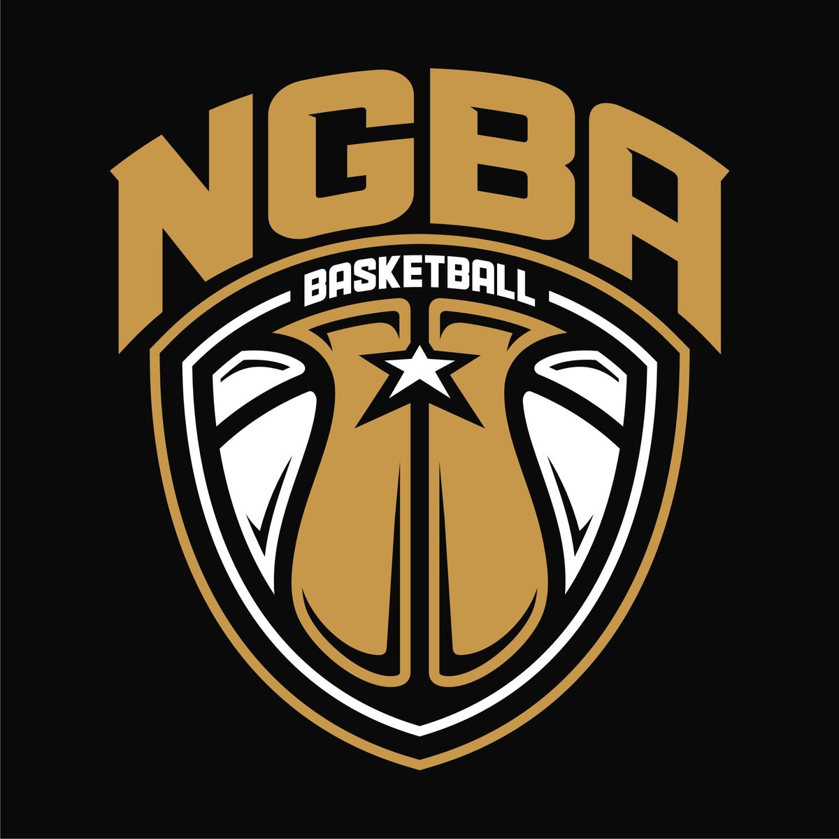 NGBA National Championship 2025+ Request for Interest Playeasy