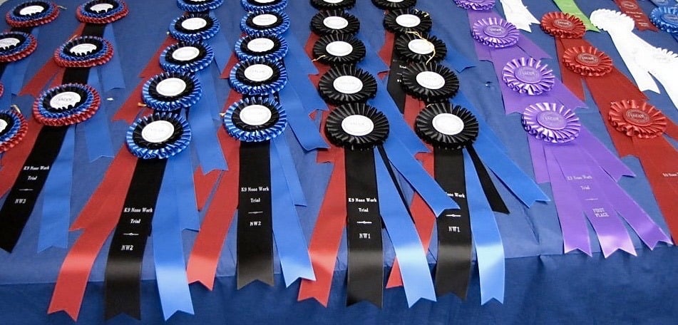 By a Nose Nosework (NACSW)