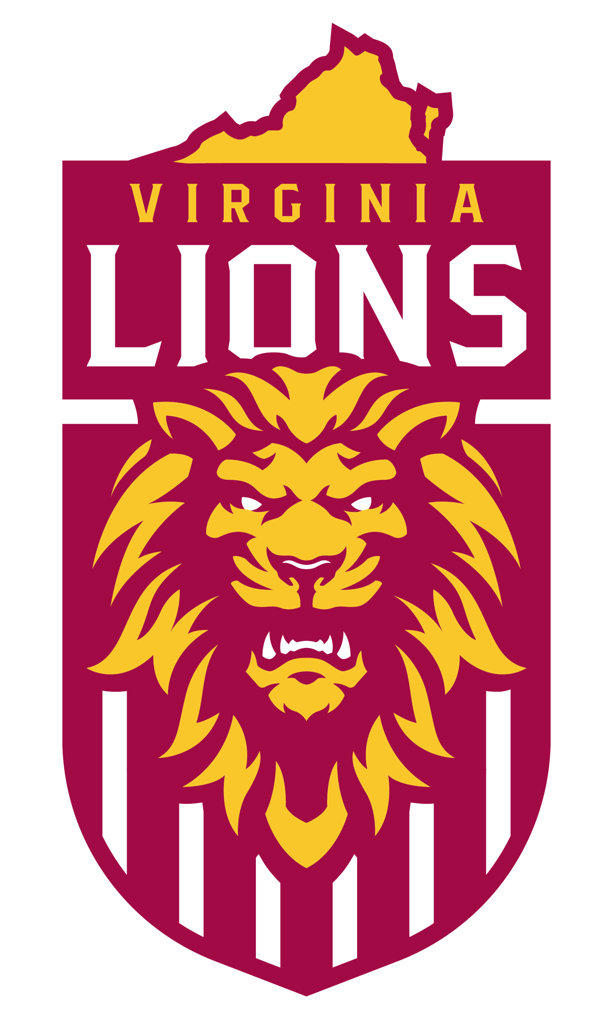 Virginia Lions Sporting Community & Supporters Club 