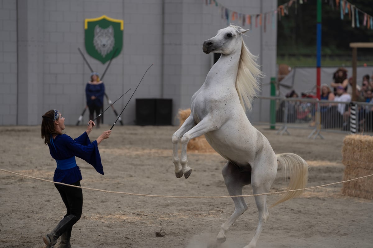 2024 Washinton Midsummer Renaissance Faire July 2628 Playeasy