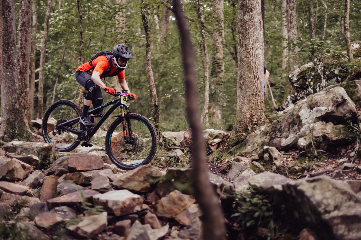 Little Hammies - Bike Races for Kids