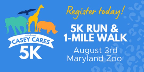 Casey Cares Foundation 15th Annual 5K Run/1-Mile Walk