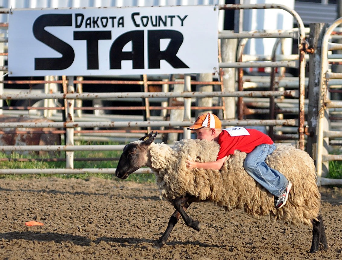 DakotaThurston County Fair Playeasy