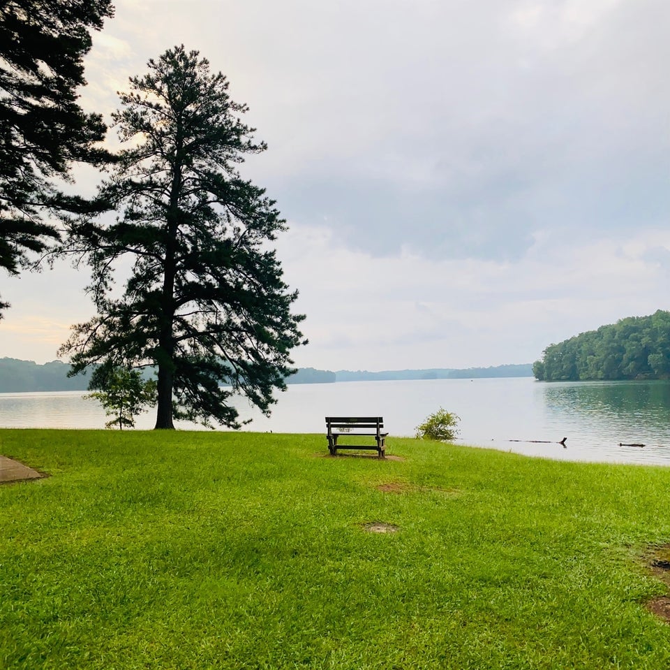 Charleston Park Activities