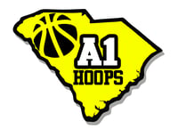 A1 Hoops Basketball LLC
