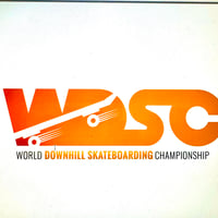 The World Downhill Skateboarding Championship
