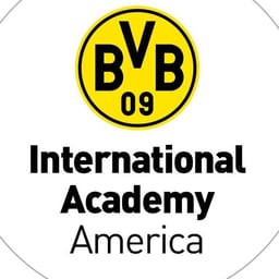 BVB International Academy