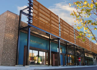 Anthropologie