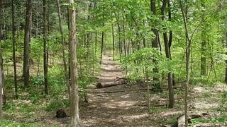 Bird Hills Nature Area
