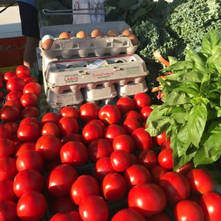Wednesday Farmers Market