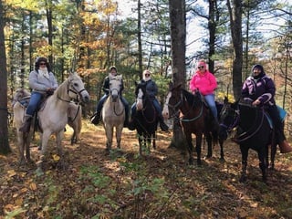 The Wilderness Pursuit Horseback Adventures