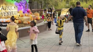 Zoo Boo