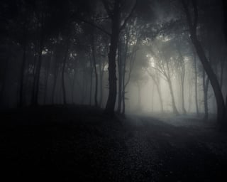 The Haunted Forest 2026
