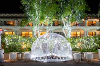 Christmas at the Princess