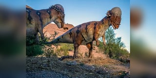 Dinosaurs in the Desert