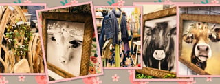 Lazy Daisy Gift Store-Short Pump