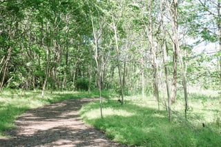 Lake Hanover Natural Trail