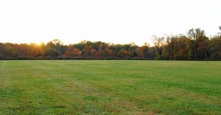 Hanover County Parks & Recreation-Taylor Park