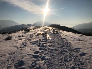 Little Mountain Trail