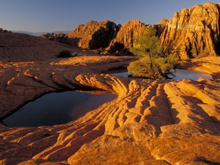 Snow Canyon State Park