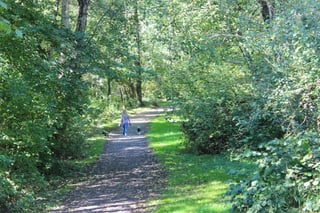 Cougar Creek Trail