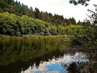 Paradise Point Park
