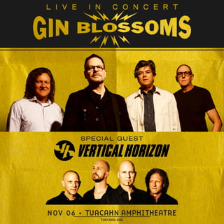 Gin Blossoms & Vertical Horizon