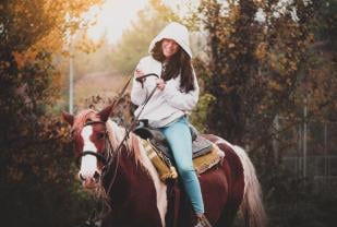 Black Mustang Ranch, LLC
