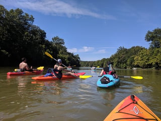 River Dogs Paddlesports