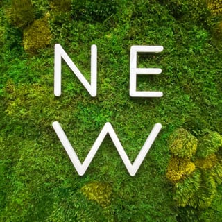 NE Wellness + SweatWorks Studio