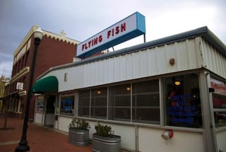Flying Fish