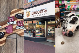 Drooly's Dog Bakery