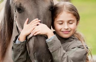 Koteewi Stable and Trails by Ben's Ranch Foundation