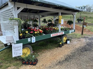 Pop Pop’s Greenhouse