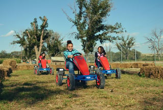El Paso's Cornmaze Pumpkin Patch and More!