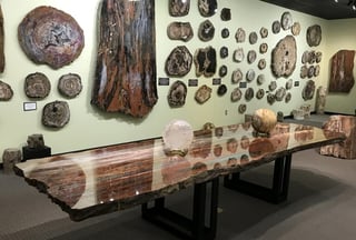Zuhl Museum: Home of the Zuhl Collection
