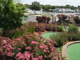 Buoy 18 Ice Cream, Miniature Golf, Bubble tea, Arcade