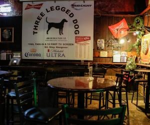 Three Legged Dog