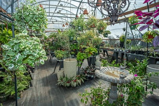 Zenith Holland Nursery