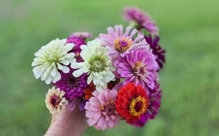 Shiloh Heritage Acres
