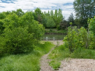 Codiga Park
