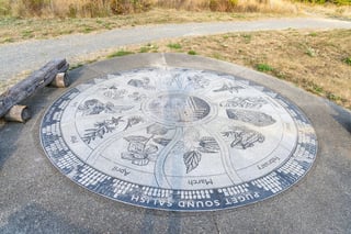 Duwamish Hill Preserve & Park