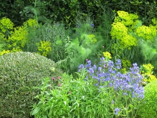 Macadam Winter Garden
