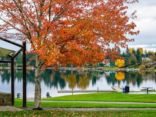 Angle Lake Park