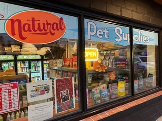 A Dog's Dream Des Moines