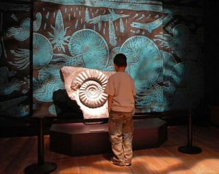 Burke Museum of Natural History and Culture