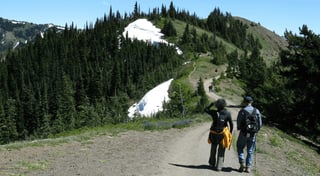 Olympic National Park