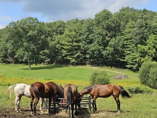 Bobby's Ranch