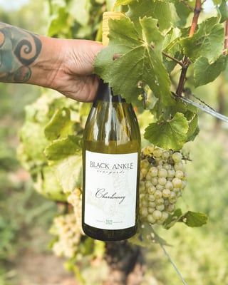 Black Ankle Vineyards